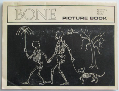 Bone Picture Book