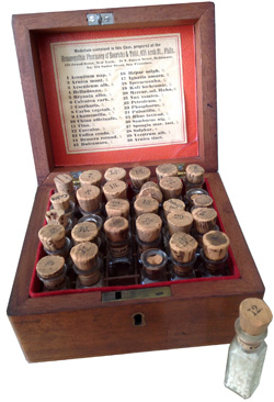 Boericke and Tafel medicine chest